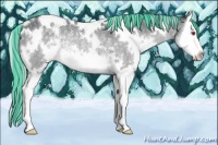 Horse Color:Painted White Spotted Silver Grullo Chinchilla Splash Rabicano