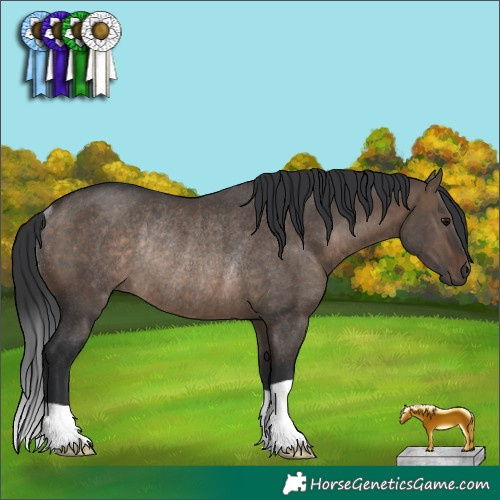 Horse Color:Brown Dun Rabicano 