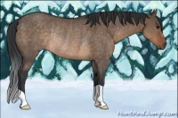 Horse Color:Brown Dun Rabicano 