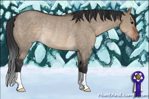 Horse Color:Brown Dun Rabicano 