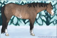 Horse Color:Brown Dun Sabino Rabicano
