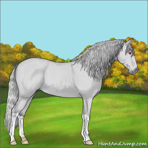 Horse Color:Silver Bay Chinchilla
