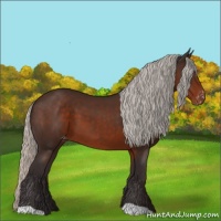 Horse Color:Silver Brown Varnish 