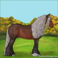 Horse Color:Silver Brown Rabicano 