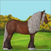Horse Color:Silver Brown Rabicano 