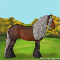 Horse Color:Silver Brown Rabicano 