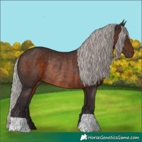 Horse Color:Silver Brown Rabicano 