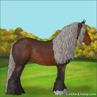 Horse Color:Silver Brown Rabicano 