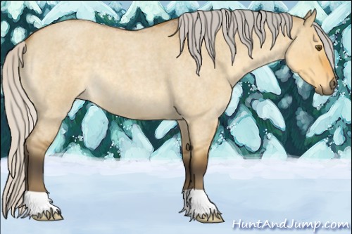 Horse Color:Silver Buckskin Roan Dun 