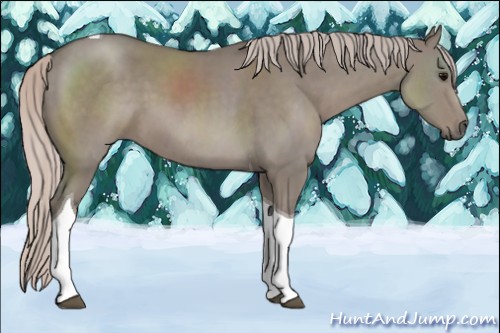 Horse Color:Silver Grullo Sabino Tobiano