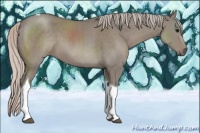 Horse Color:Silver Grullo Sabino Tobiano 