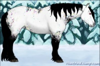 Horse Color:Liver Chestnut Chinchilla Mushroom 