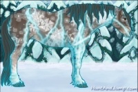 Horse Color:Thunderstruck Liver Chestnut Ice