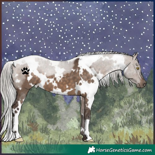 Horse Color:White Spotted Silver Brown Dun 
