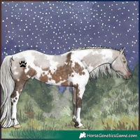Horse Color:White Spotted Silver Brown Dun 
