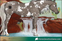 Horse Color:White Spotted Silver Smoky Black 