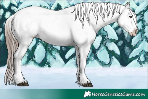 Horse Color:Liver Chestnut Splash Tobiano Near Fewspot Rabicano 