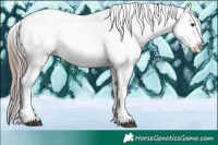 Horse Color:Liver Chestnut Splash Tobiano Near Fewspot Rabicano 
