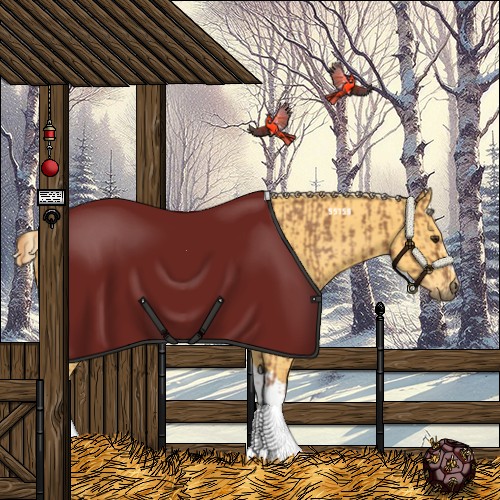 Horse Color:Chestnut Rabicano  and Palomino Rabicano 