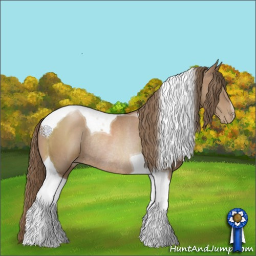 Horse Color:White Spotted Black Pearl Tobiano Rabicano