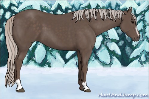 Horse Color:Silver Black Sabino 