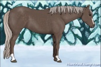 Horse Color:Silver Black Sabino 
