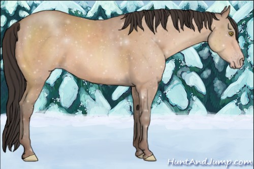 Horse Color:Sable Champagne 