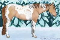 Horse Color:Bay Pearl Tobiano Rabicano