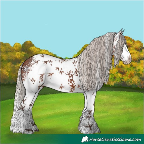 Horse Color:White Spotted Silver Bay Sabino Splash 