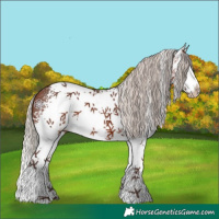 Horse Color:White Spotted Silver Bay Sabino Splash