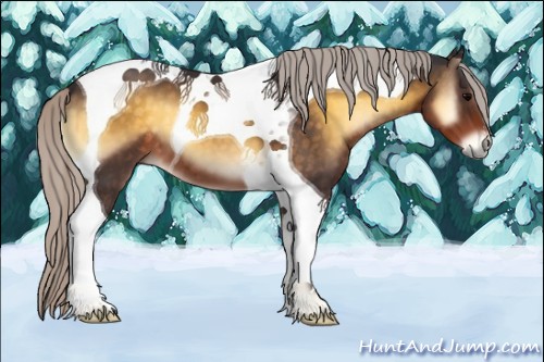 Horse Color:Silver Buckskin Onyx Tobiano 
