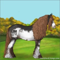 Horse Color:White Spotted Liver Chestnut Frame