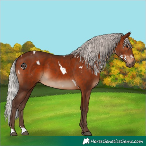 Horse Color:White Spotted Silver Brown 