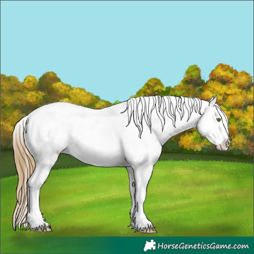 Horse Color:White Spotted Sable Cream Champagne Sabino Appaloosa Rabicano 