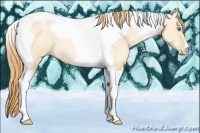 Horse Color:Smoky Grullo Pearl Tobiano