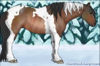Horse Color:Bay Tobiano Rabicano