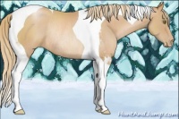 Horse Color:Chestnut Pearl Tobiano Rabicano