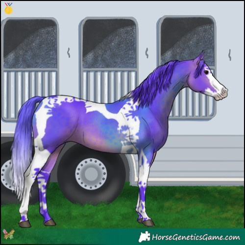 Horse Color:Watercolor Bay Splash Tobiano 