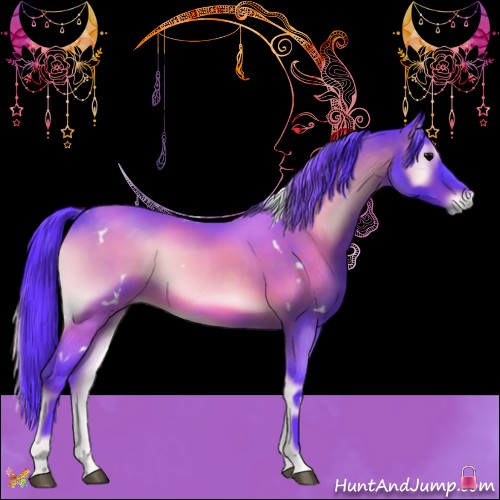Horse Color:Watercolor White Spotted Brown Onyx 