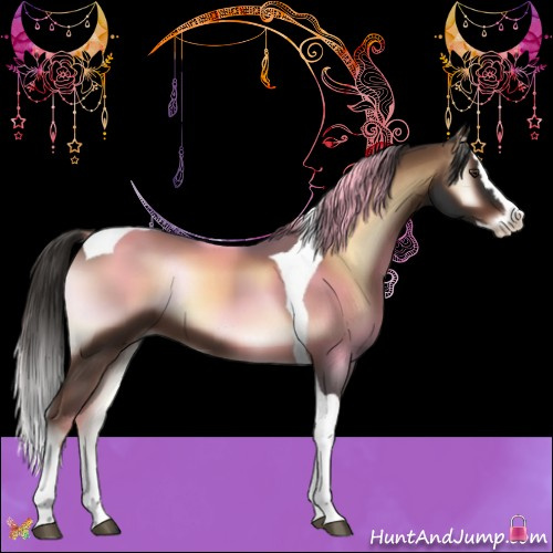 Horse Color:Liver Red Onyx Splash Tobiano 