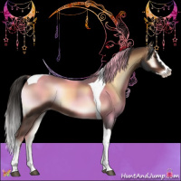 Horse Color:Liver Red Onyx Splash Tobiano 