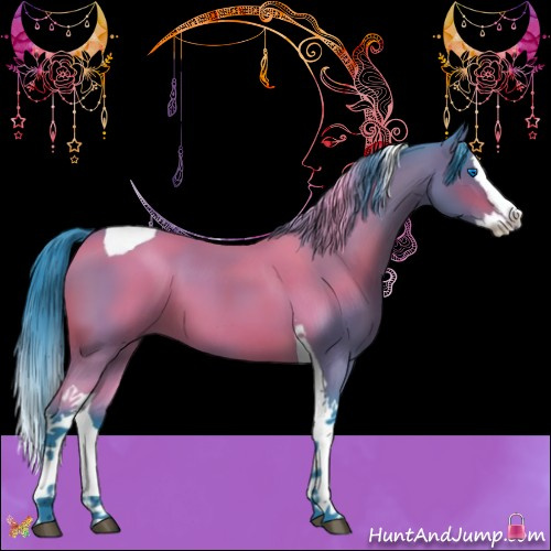 Horse Color:Watercolor Brown Splash Tobiano 