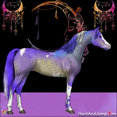 Horse Color:Watercolor Brown Splash Tobiano 