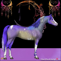 Horse Color:Watercolor Brown Splash Tobiano 