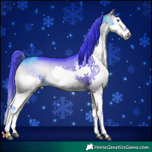 Horse Color:Watercolor Bay Onyx Splash 
