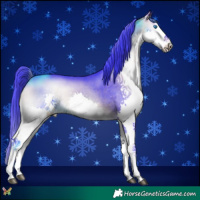 Horse Color:Watercolor Bay Onyx Splash 