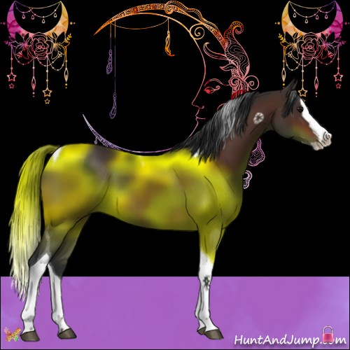 Horse Color:Bay Splash Tobiano 