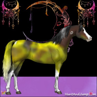 Horse Color:Bay Splash Tobiano 