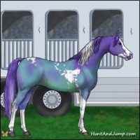 Horse Color:Watercolor Brown Splash Tobiano