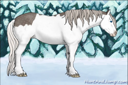 Horse Color:Silver Blue Roan Splash 